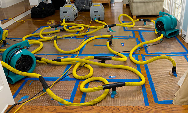 Professional Crawl Space Water Removal technician working in Blanchard, MI